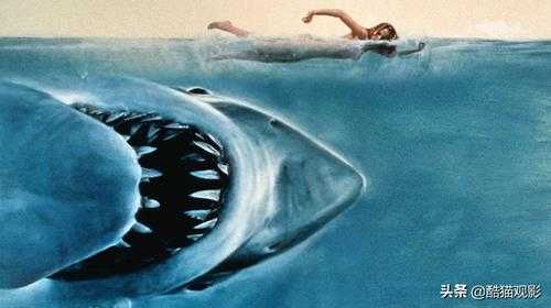 十大恐怖片鲨鱼(10部高分鲨鱼电影，场面很吓人)
