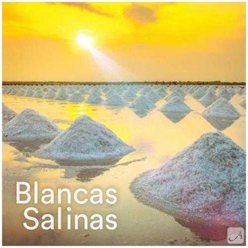【休闲弗拉门戈】VA-2023-AndaluciaChill-BlancasSalinas(FLAC)